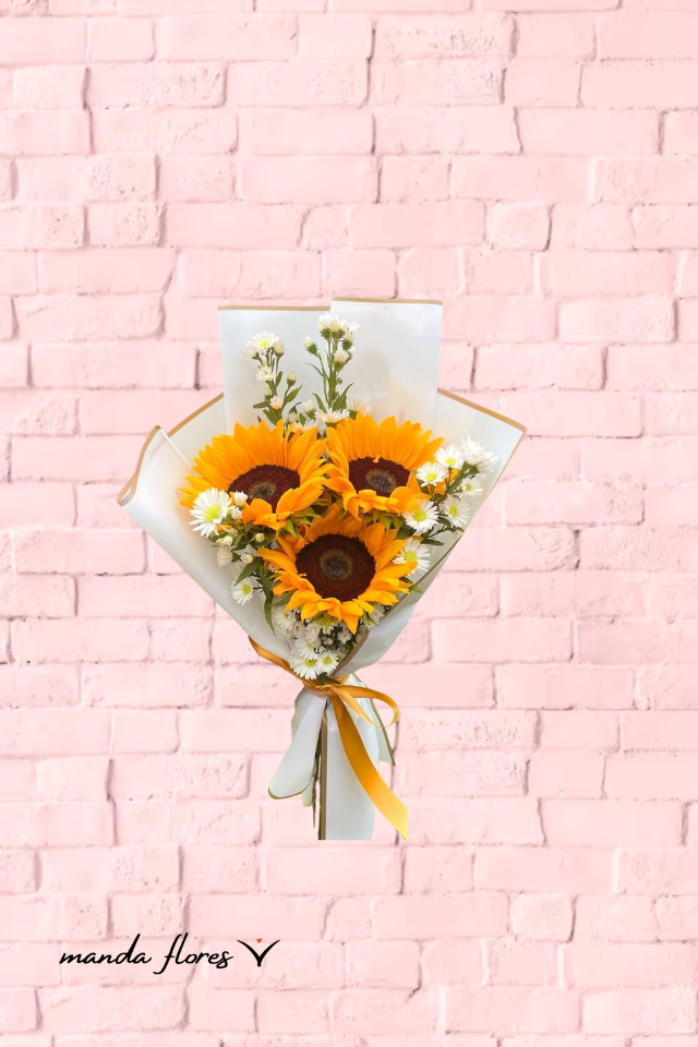 3 PZ DE GIRASOLES