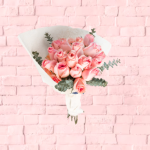 24pz de rosas rosas con hoja