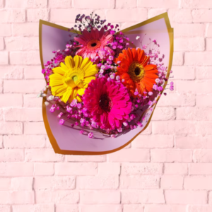 4PZ DE GERBERAS