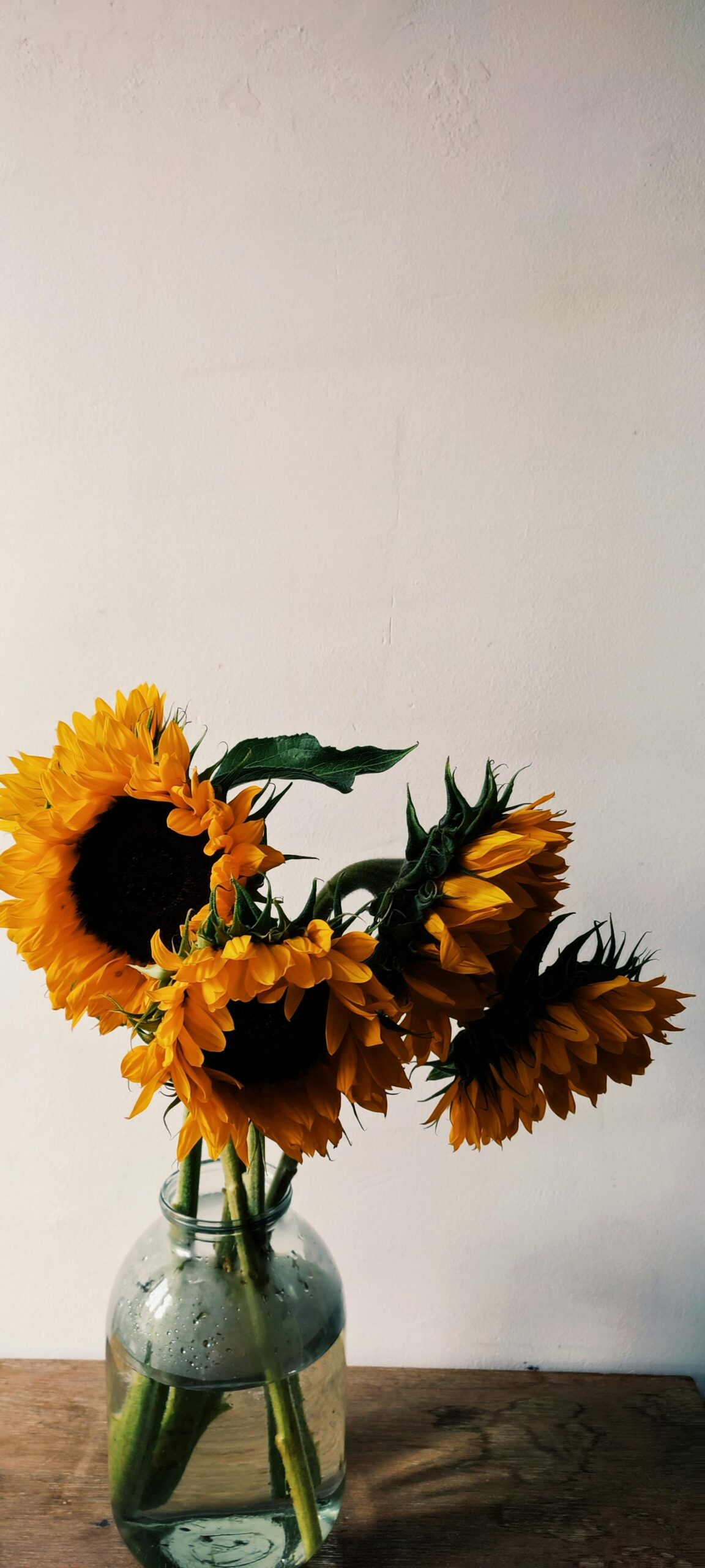 Vibrant sunflowers in a clear glass vase on wooden table, minimalist approach.